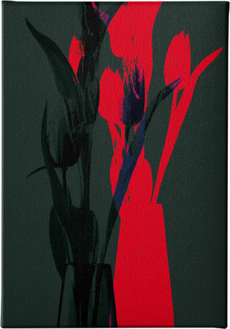 Canvas Frame from, Decoration Space,N.Shaker - P09, 
