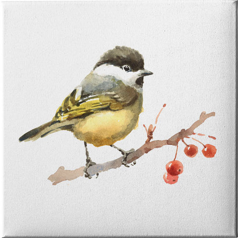 Canvas Frame from, Decoration Space,Square Canvas - 22, 